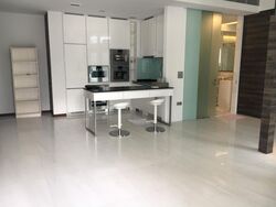 The Scotts Tower (D9), Condominium #614606301